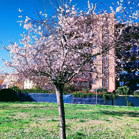 Kitchen Διαμέρισμα