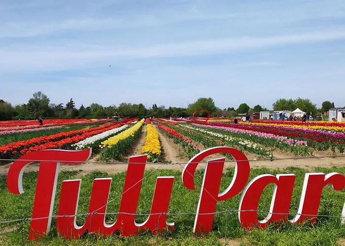 Апартаменты Kitchen